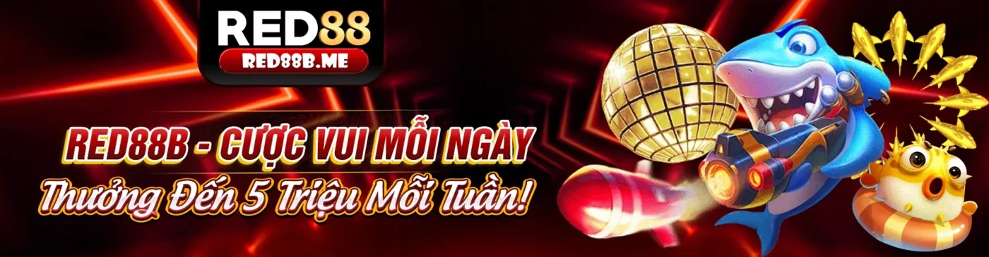 Điều khoản Dịch vụ của Kubet19