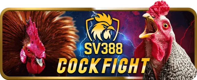 Hoàn trả tiền cược Kubet19